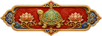 Another turtle tale
